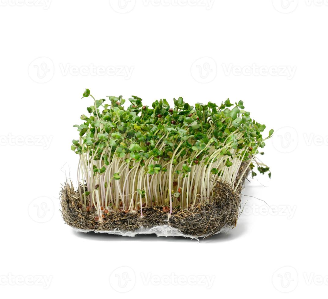 brotos de brócolis verdes em um fundo branco, microgreen saudável foto