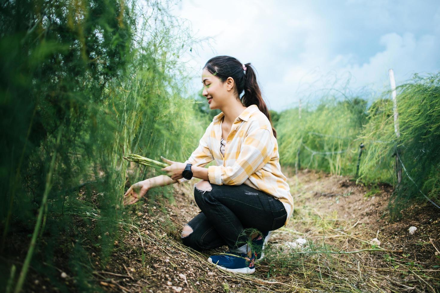 jovem e bonita agricultora colhendo asparaguê fresco no campo foto