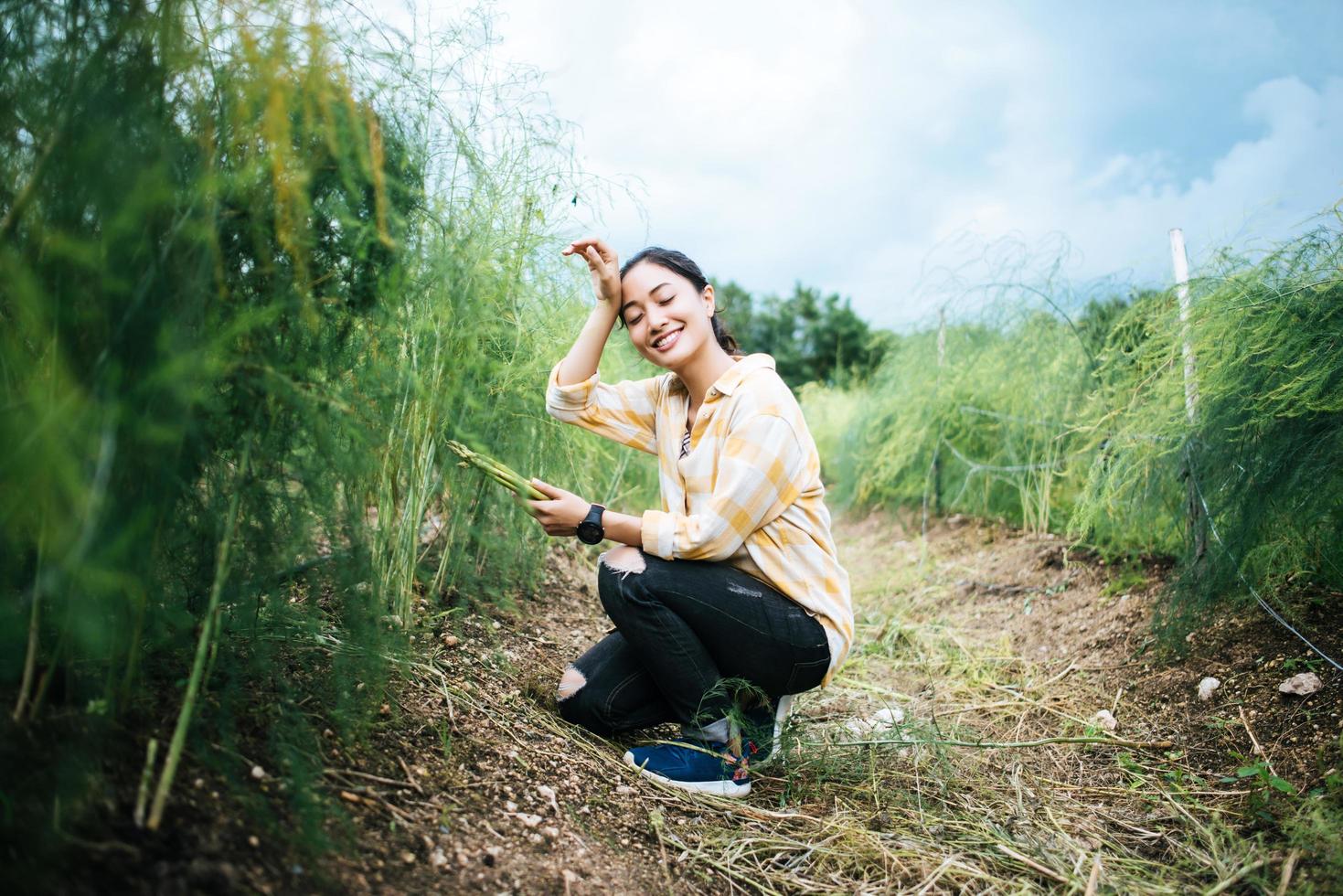 jovem e bonita agricultora colhendo asparaguê fresco no campo foto