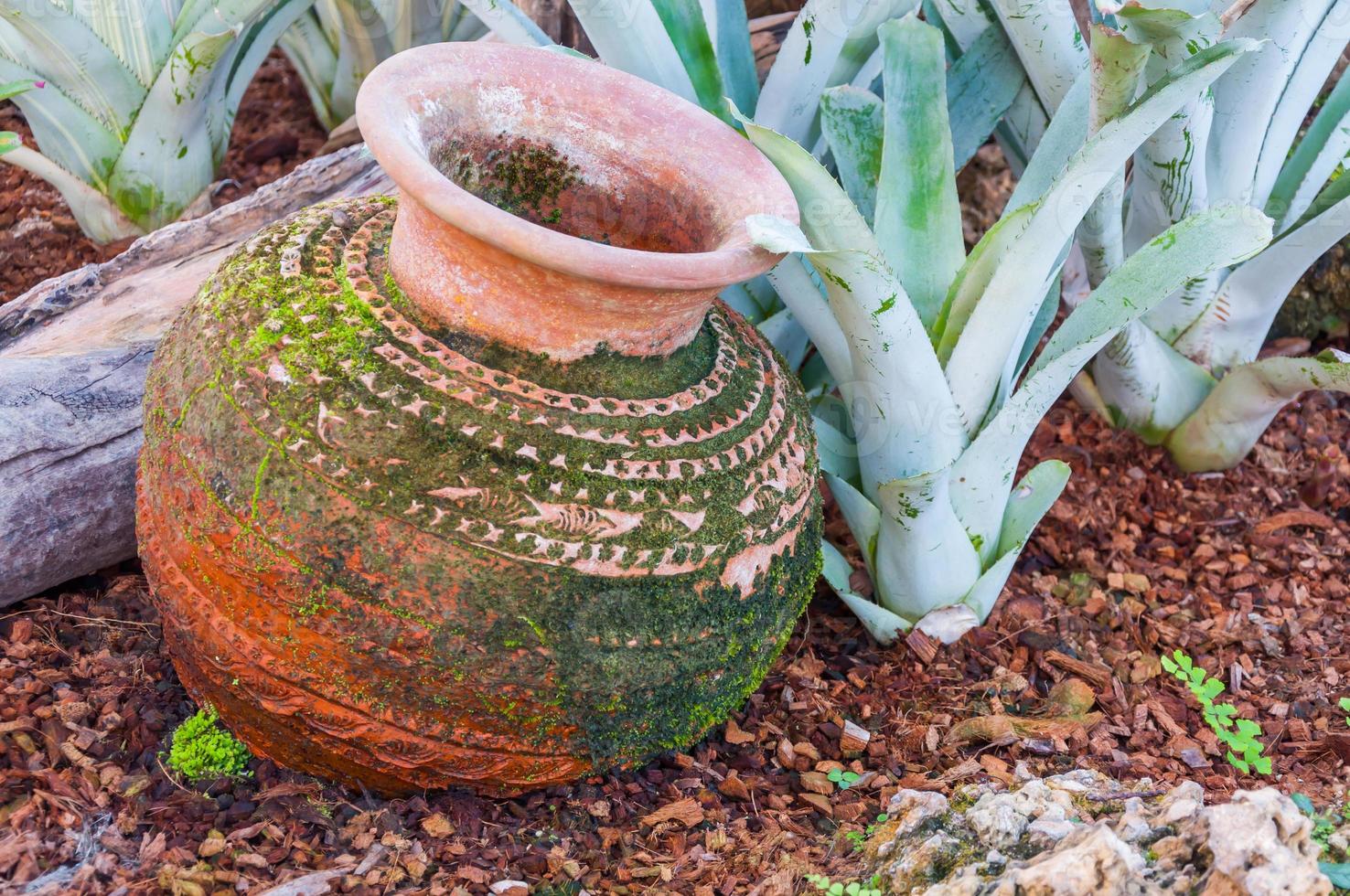 panela de barro com musgo verde foto