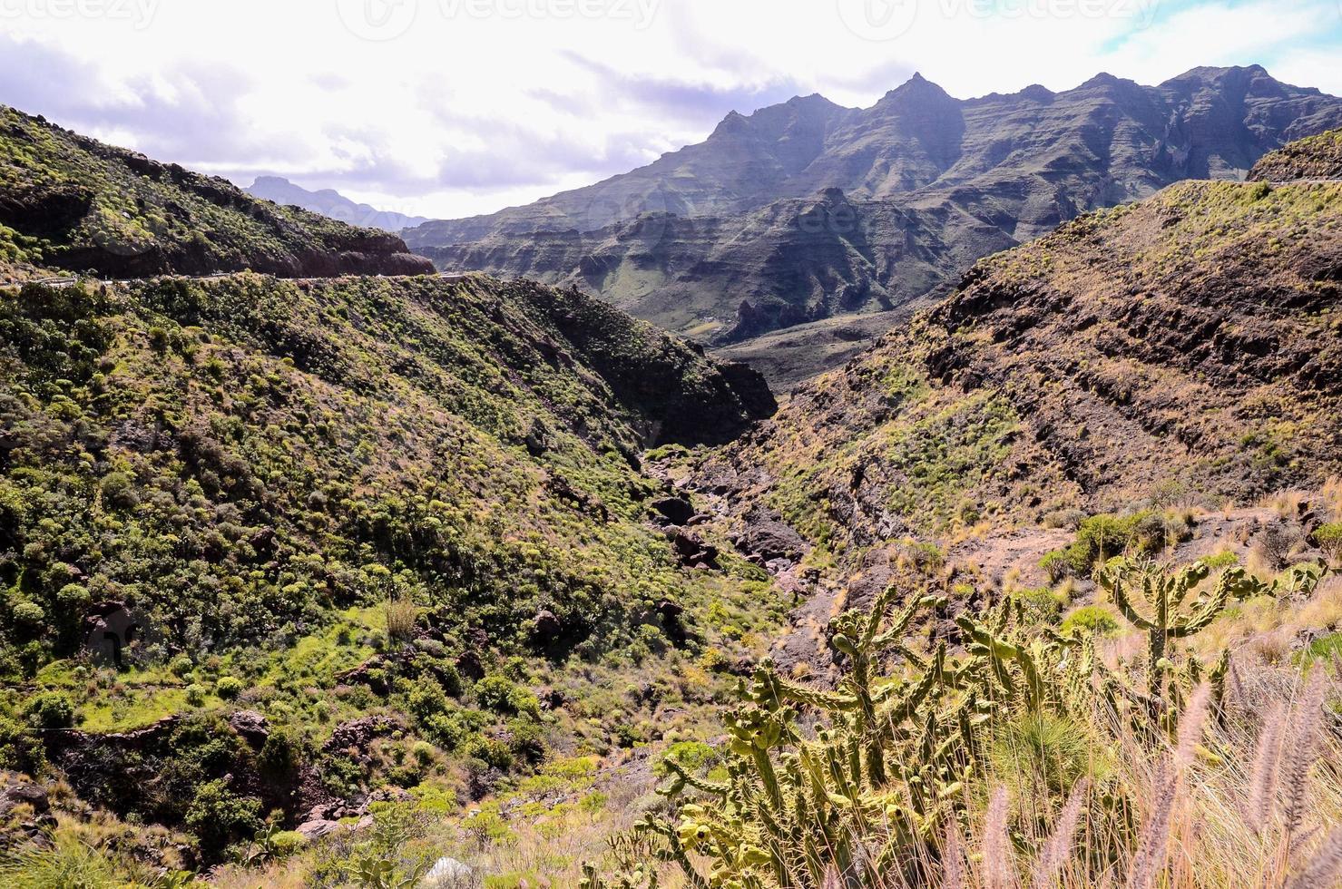 paisagem rochosa no verão foto