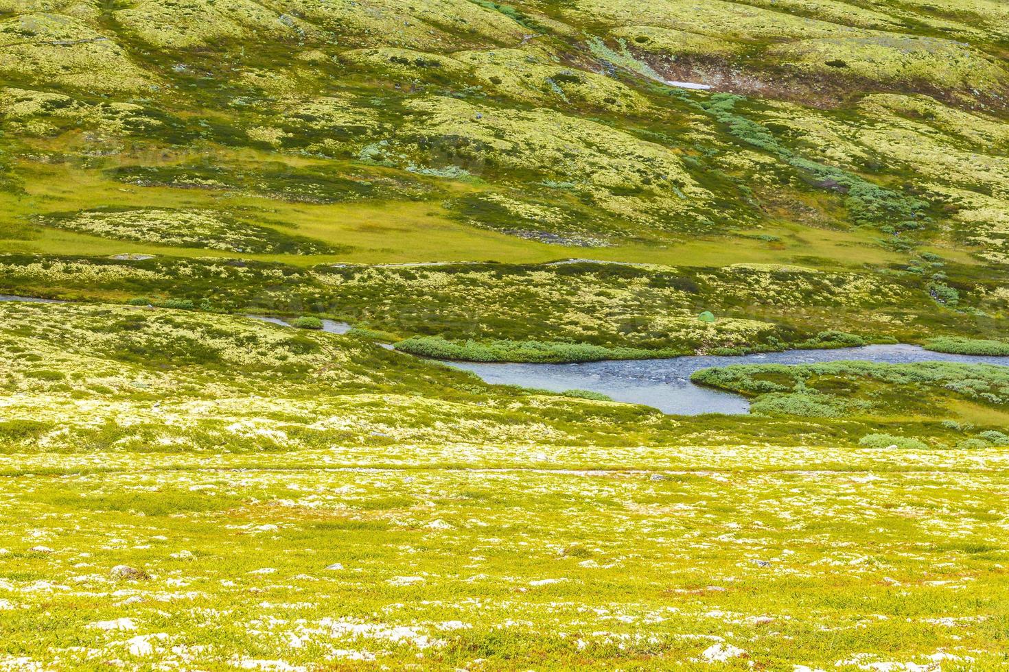 bela montanha e paisagem paisagem natureza parque nacional rondane noruega. foto