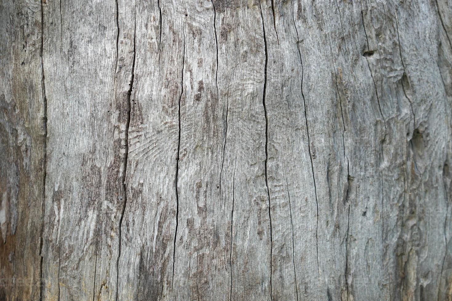 fundo de madeira deteriorado estampado de rachaduras foto