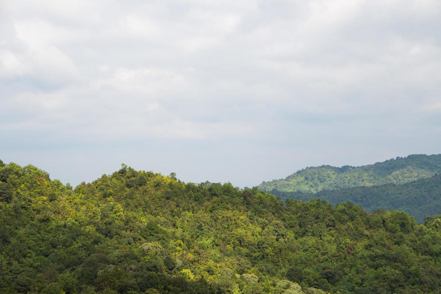 montanhas e florestas pela manhã foto