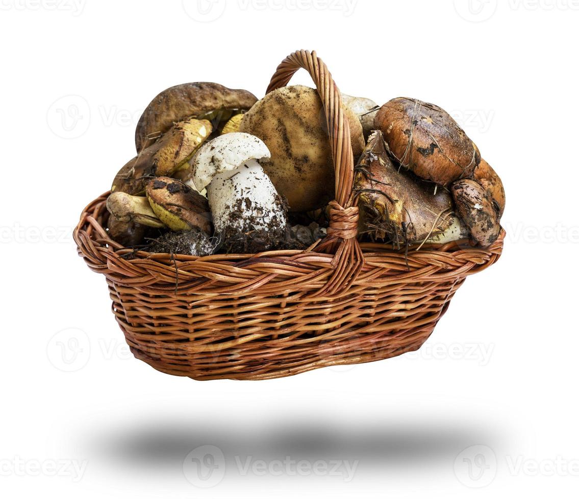 cogumelos frescos da floresta suillus luteus e boletus edulis em uma cesta marrom de vime foto