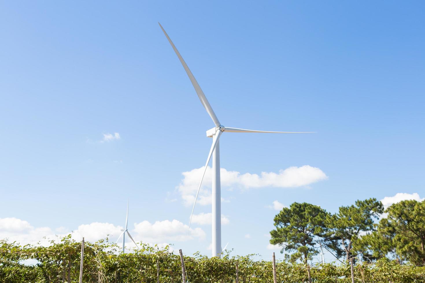 turbina eólica para geração de energia foto