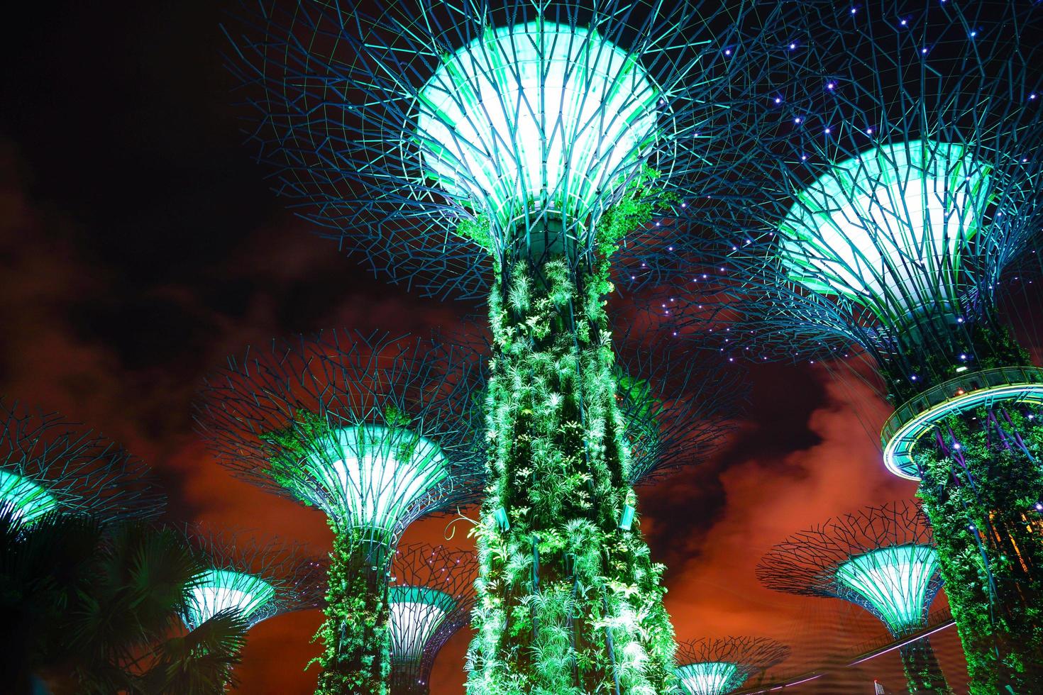 superárvores em Singapura à noite foto