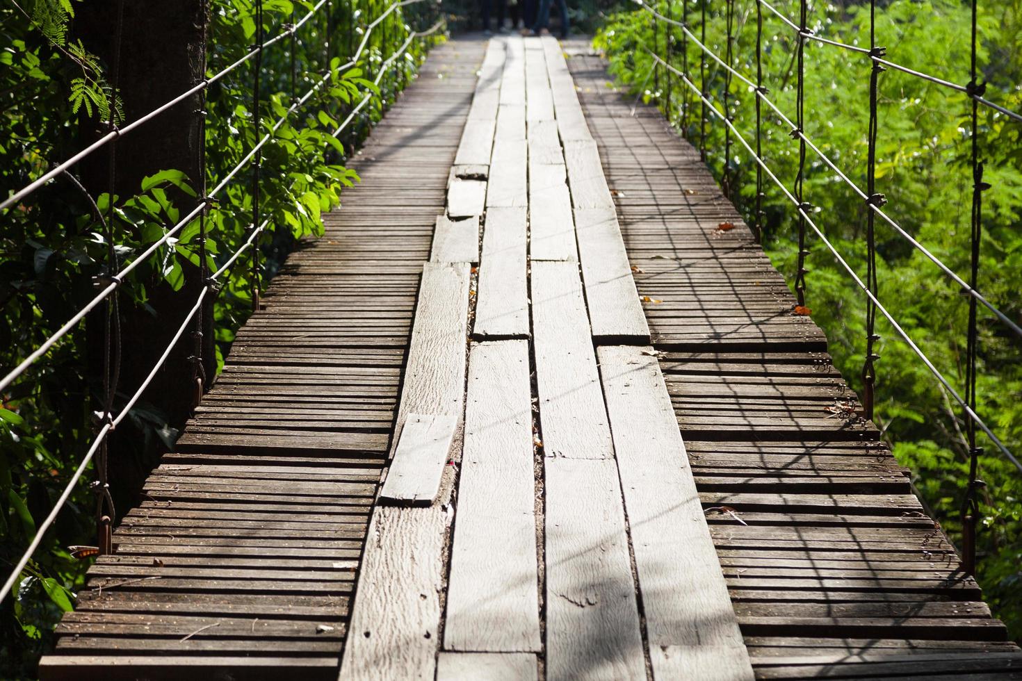 ponte pênsil de madeira foto