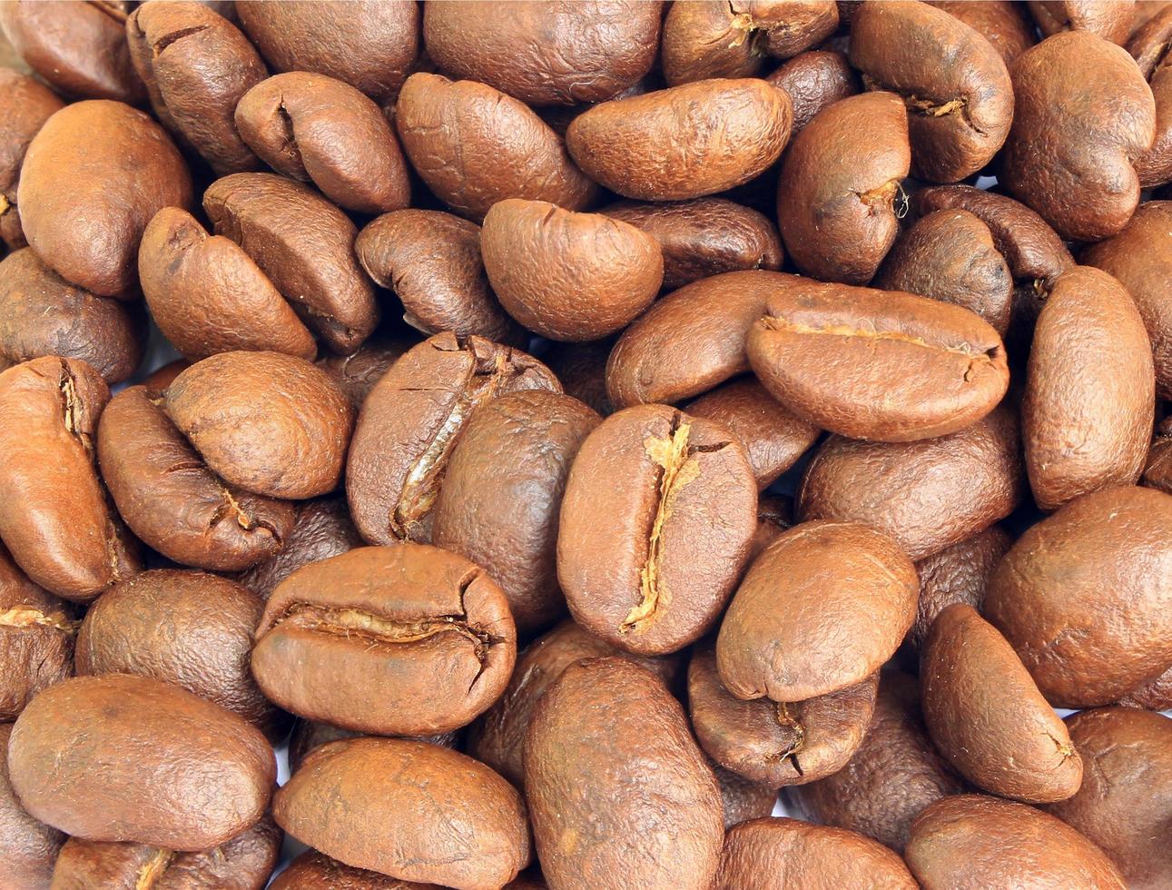 grãos de café torrados foto