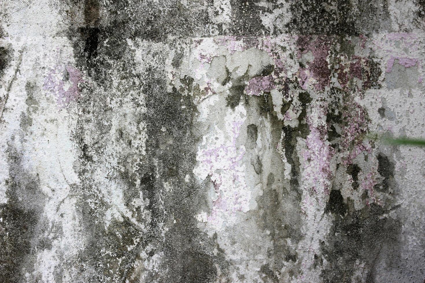 velho muro de concreto foto