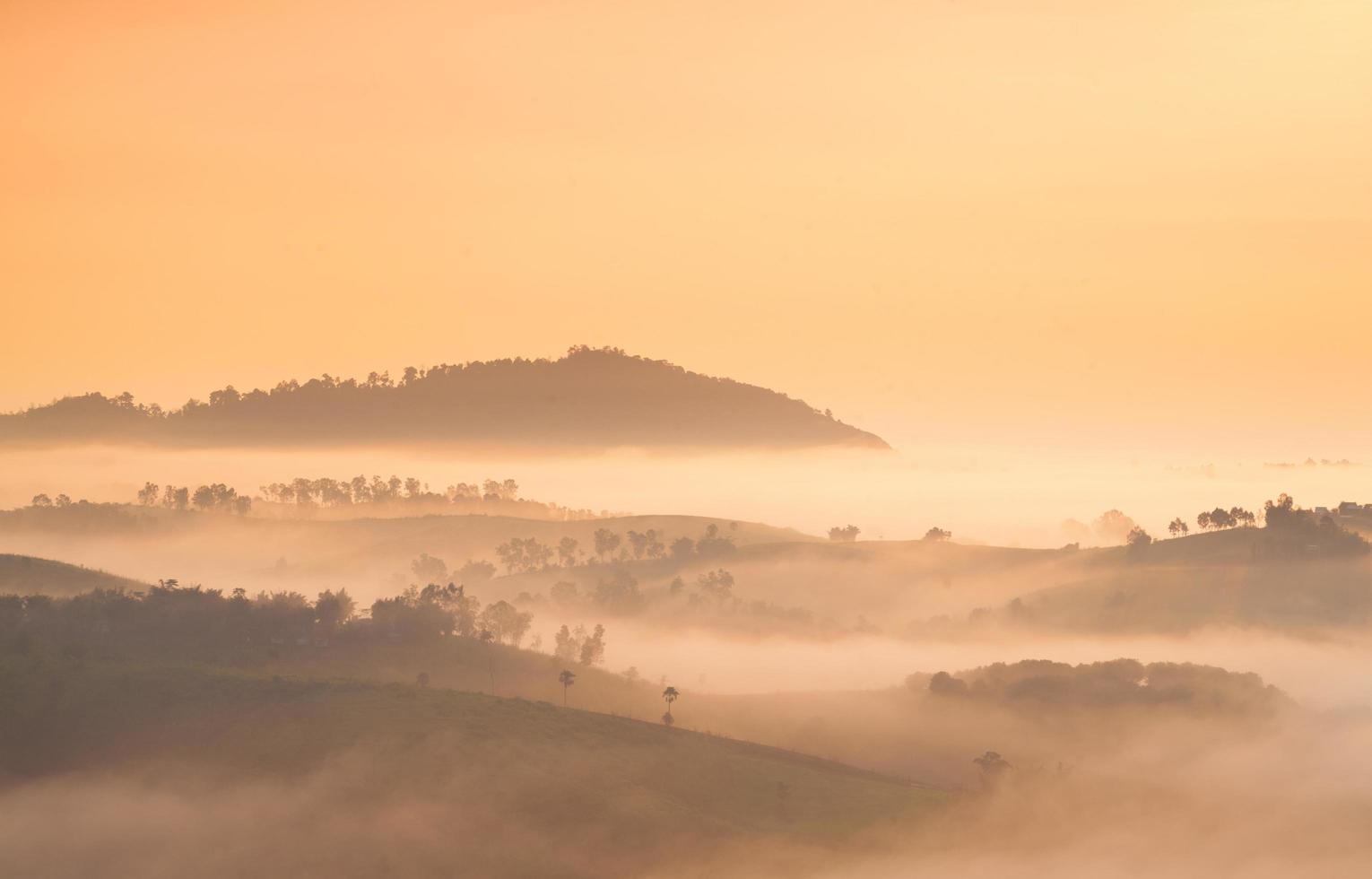 montanhas e florestas cobertas de nevoeiro foto