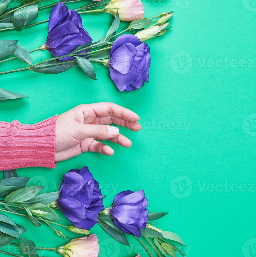 mão feminina em um suéter rosa brilhante sobre um fundo verde foto