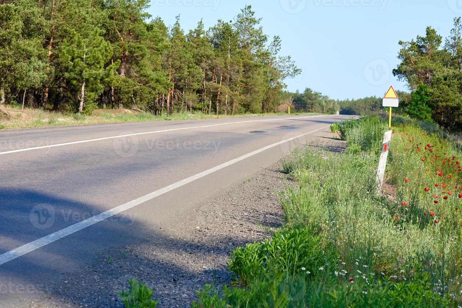 estrada de asfalto ao longo da floresta, dia de verão foto