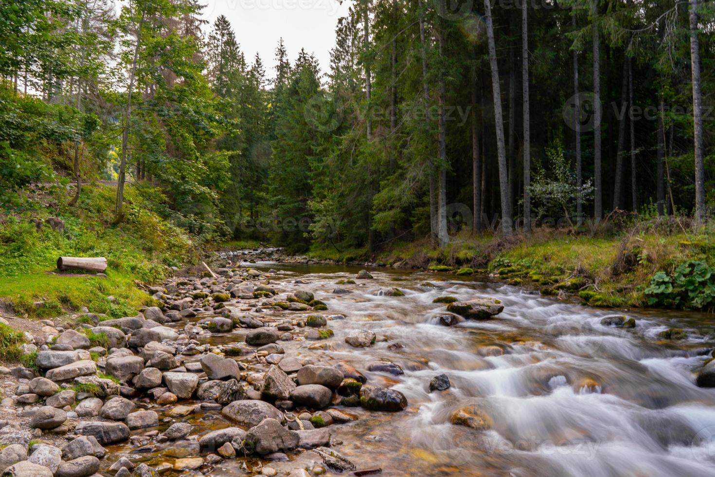 rio selvagem de alta montanha na floresta do parque nacional, paisagem pacífica de outono e primavera. fluxo de água no parque nacional na polônia. caminho de trekking alpino inferior. foto