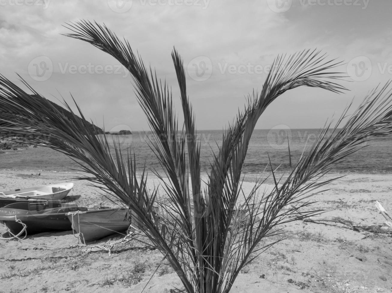 a ilha da córsega foto