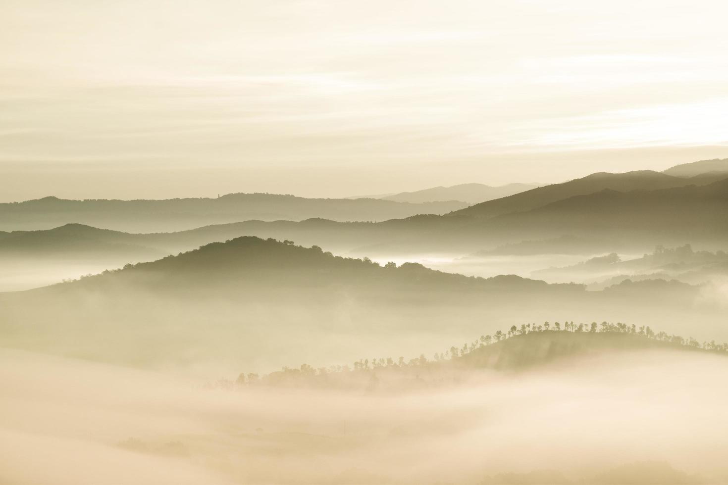 árvores em montanhas de nevoeiro com céu nublado foto