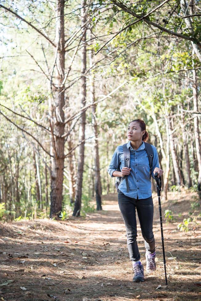 mulheres caminhando com uma mochila por uma floresta de pinheiros foto