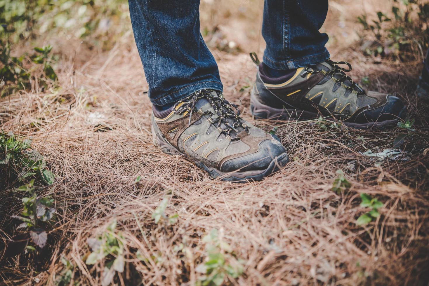 botas de alpinista na floresta foto