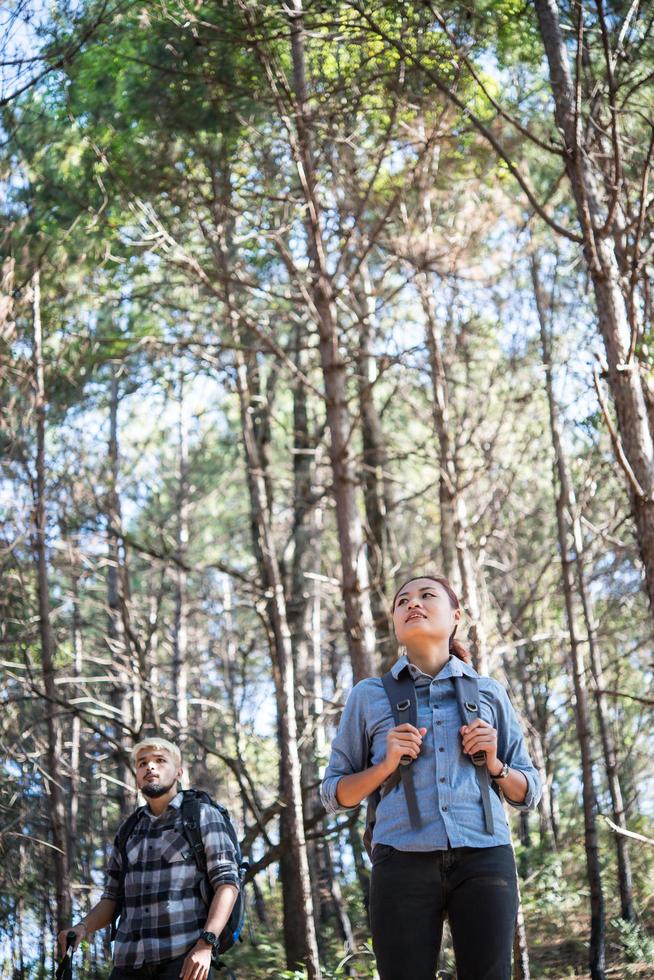 caminhada casal mochila na floresta de pinheiros foto