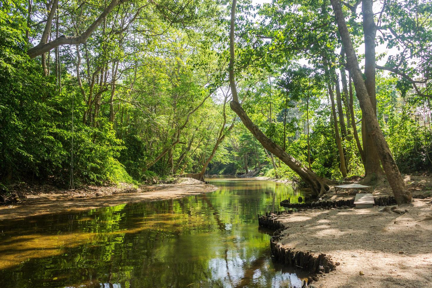 rio e floresta na Tailândia foto