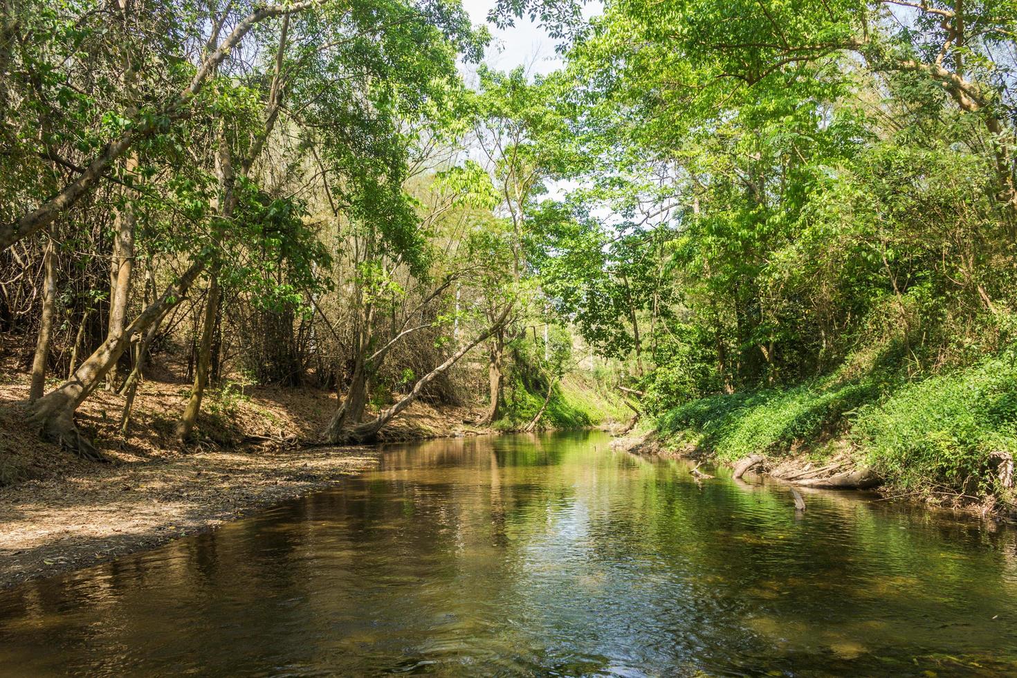 rio e floresta na Tailândia foto