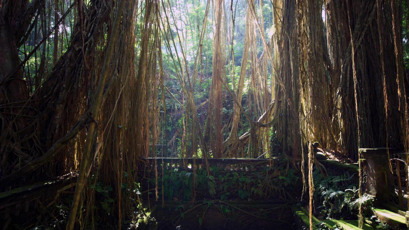 descubra a misteriosa beleza do brasil e da escócia foto