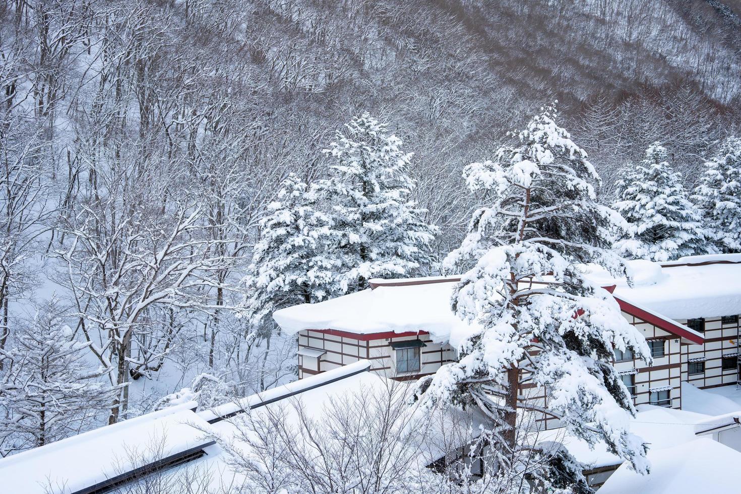 neve pesada na vila de heike no sato na prefeitura de tochigi, nikko city, japão foto