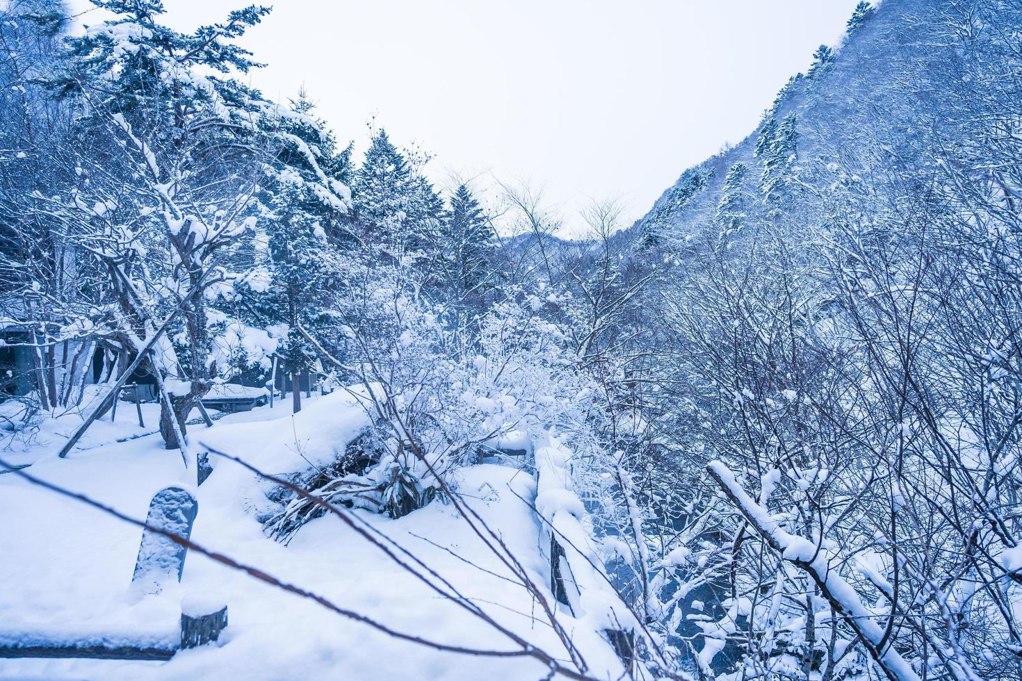 neve pesada na vila de heike no sato na prefeitura de tochigi, nikko city, japão foto