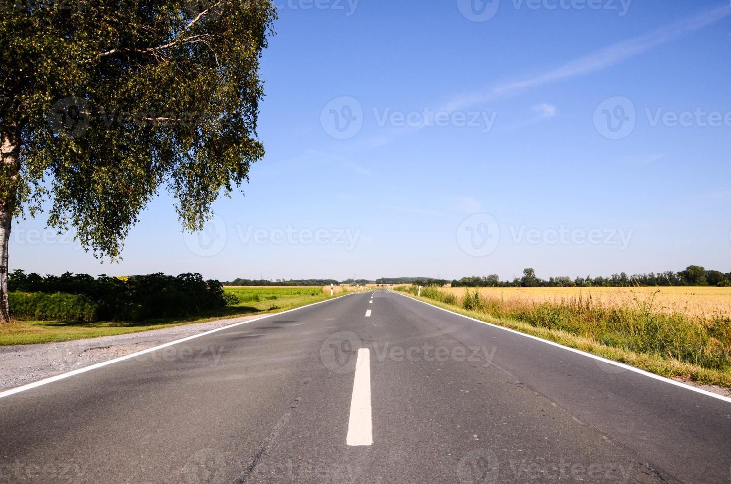 vista panorâmica da estrada foto