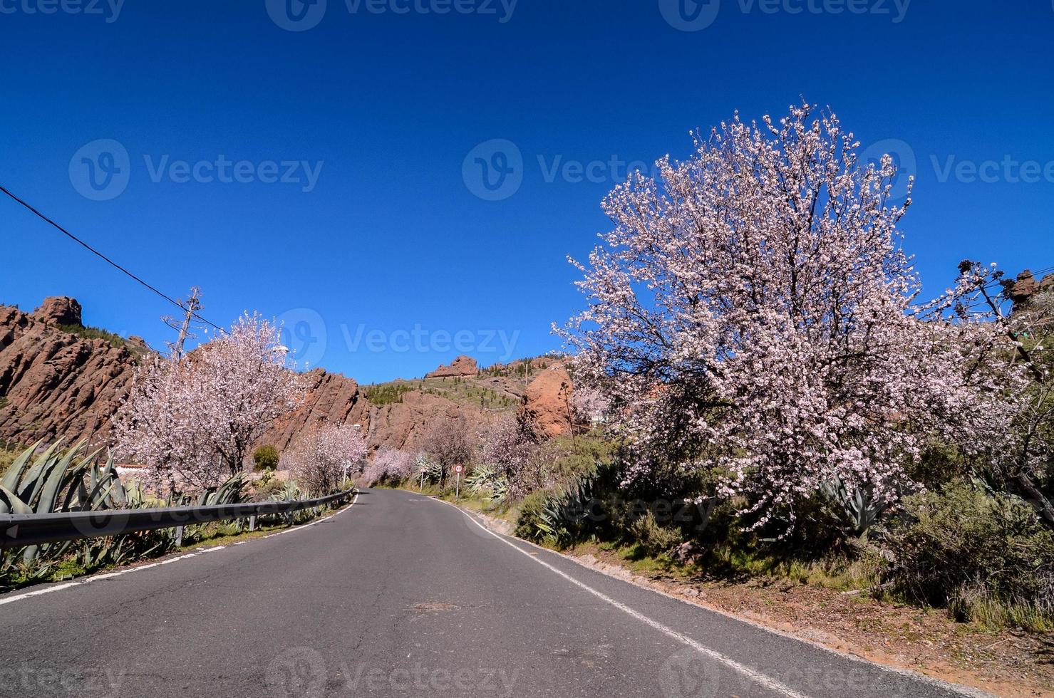 vista panorâmica da estrada foto