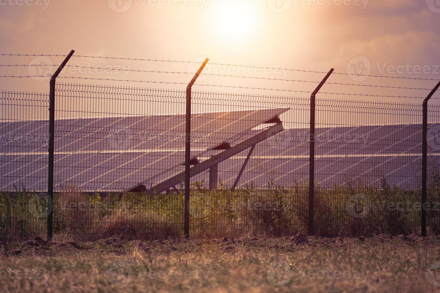 painéis solares no meio de um campo em um dia ensolarado, ucrânia foto