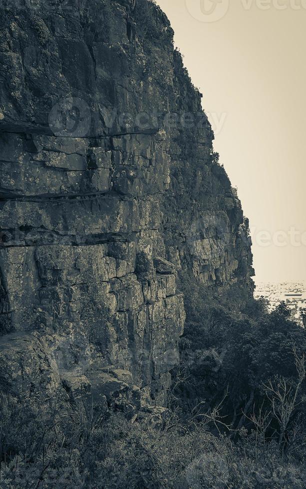 penhascos e rochas Table Mountain National Park Cape Town, África. foto