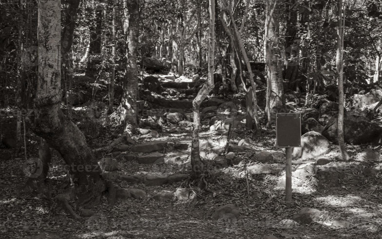 caminho de floresta sombreada e parque nacional de montanha de trilha para caminhada. foto