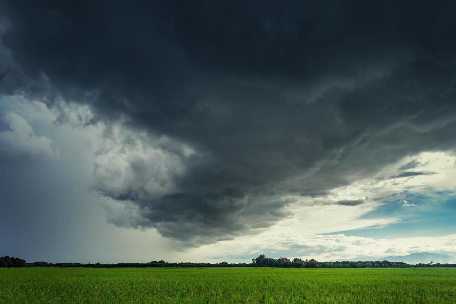 nuvens de tempestade no campo de arroz na estação chuvosa foto