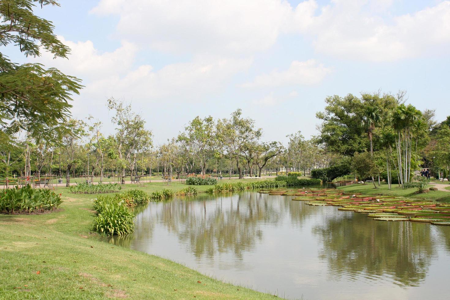 lagoa no jardim foto