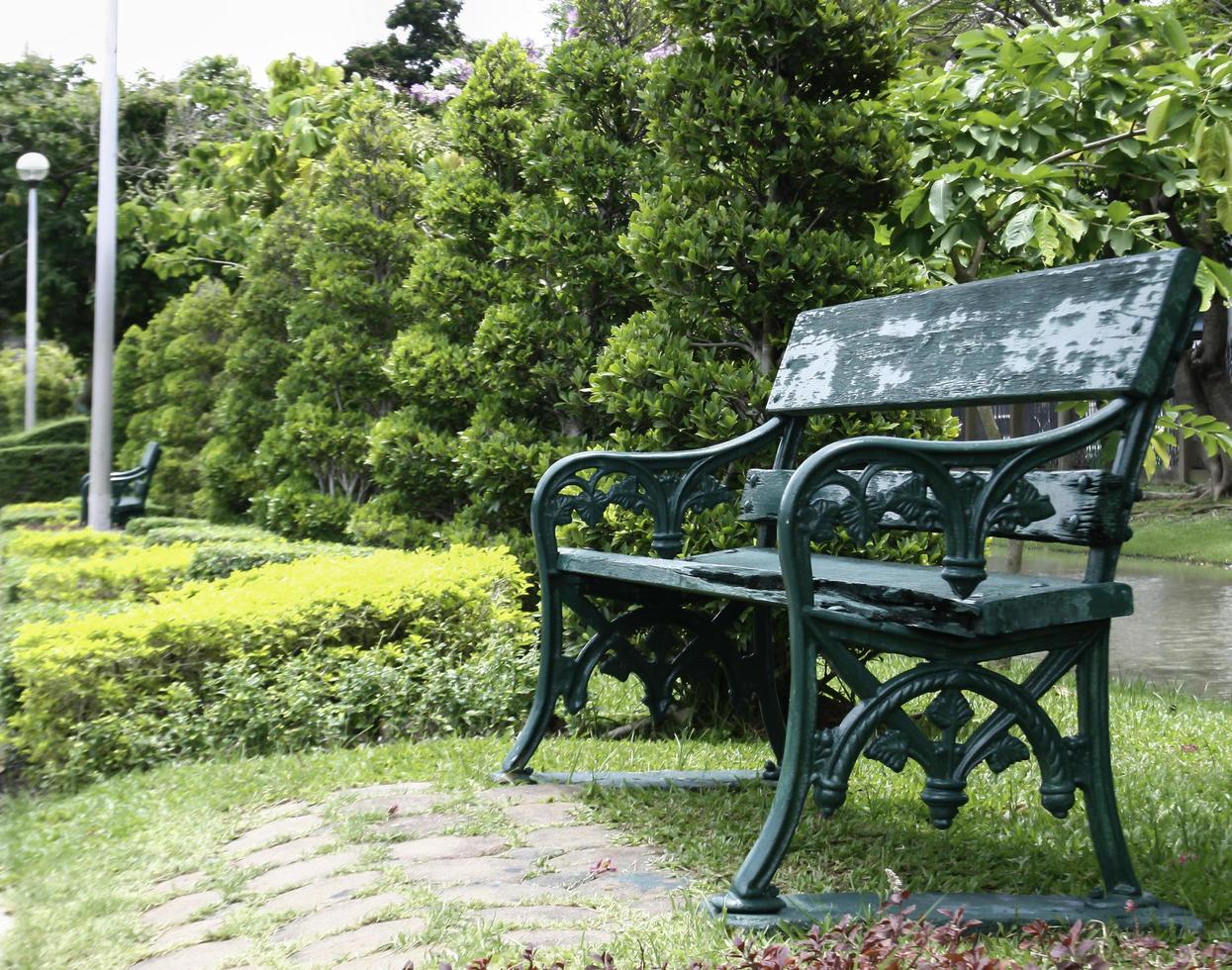 banco em um parque verde foto