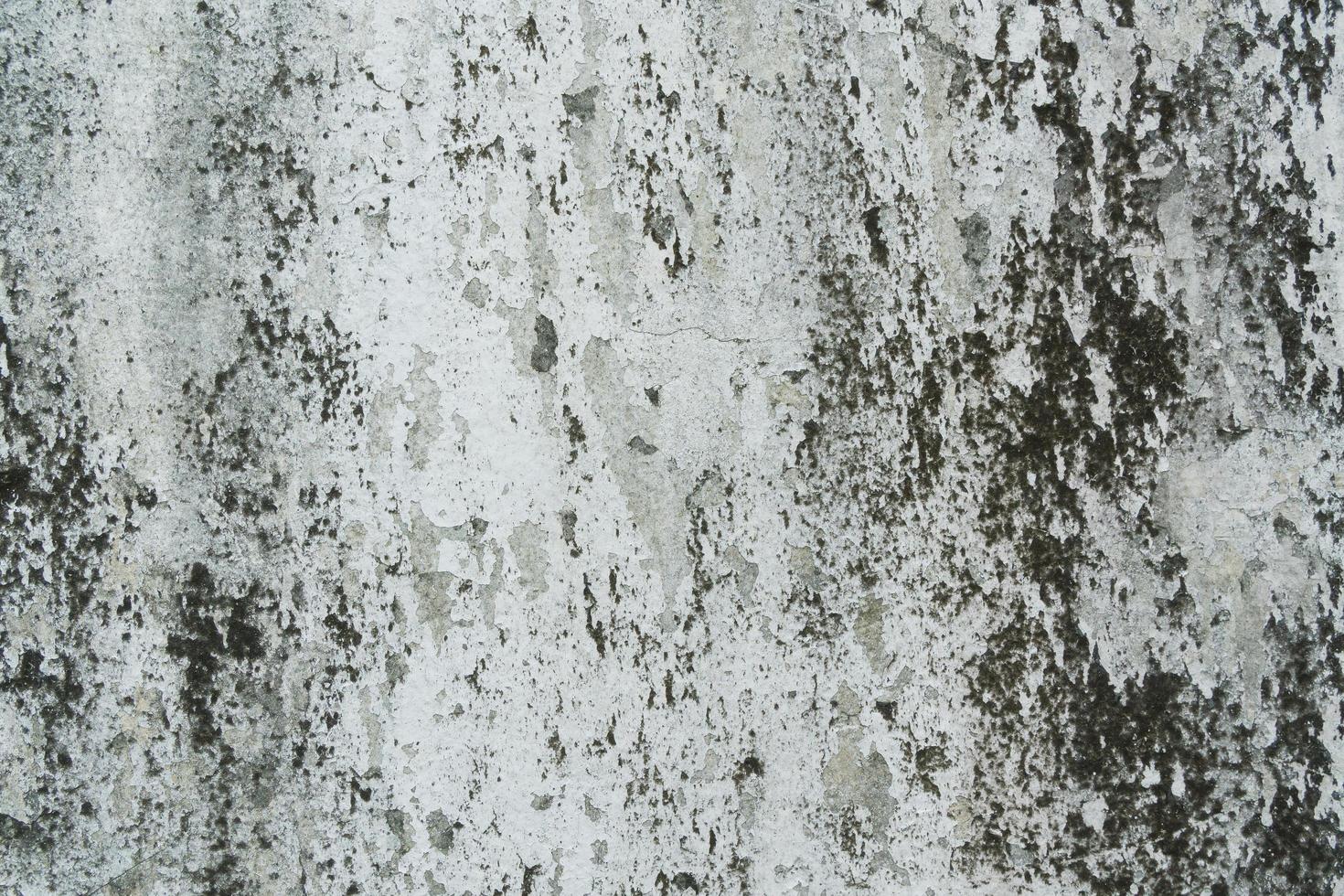 close-up de parede de gesso velho foto