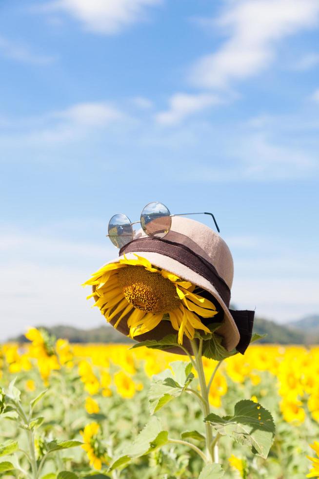 chapéu e óculos de sol em um girassol foto