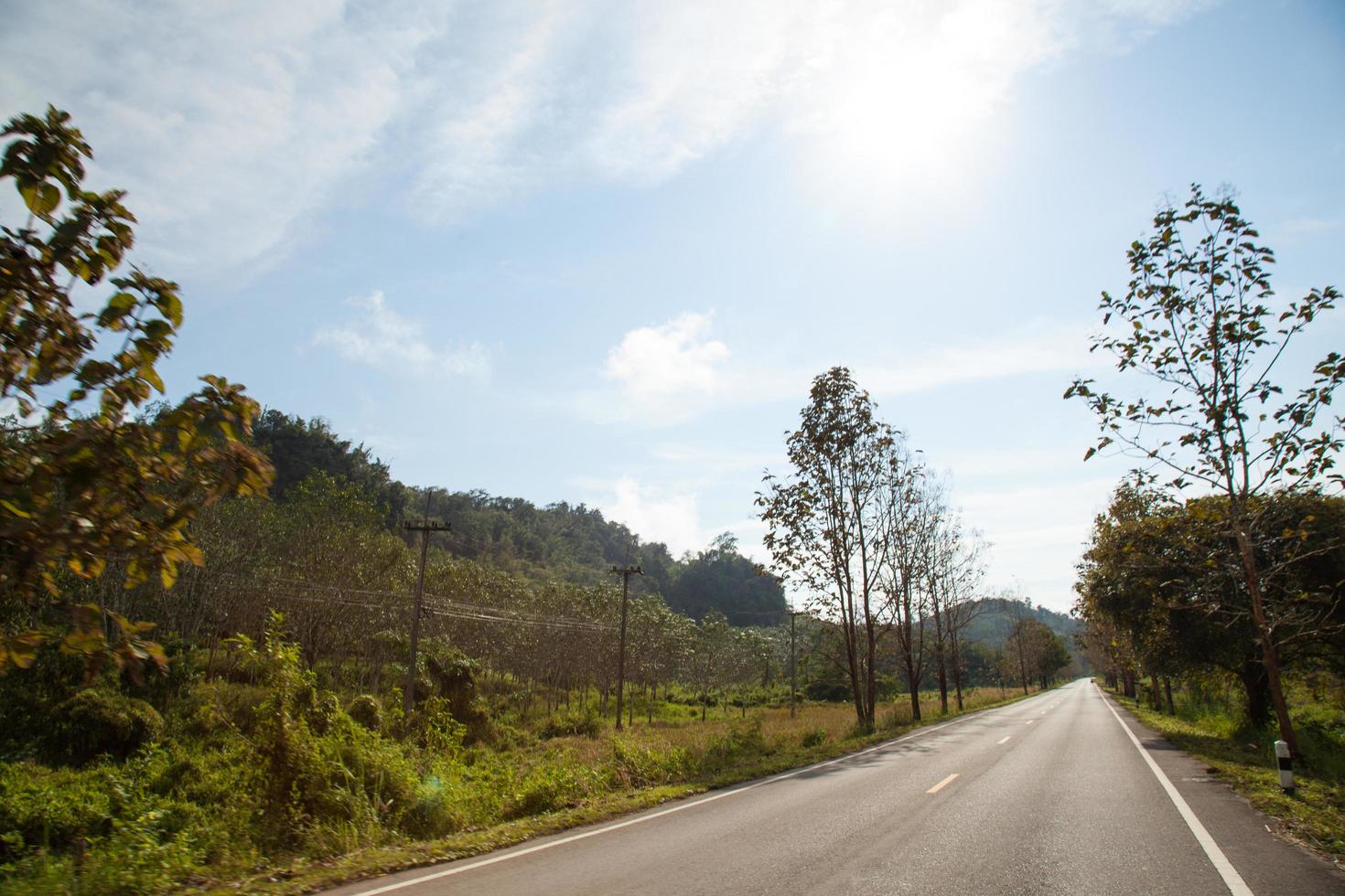 estrada no campo na tailândia foto