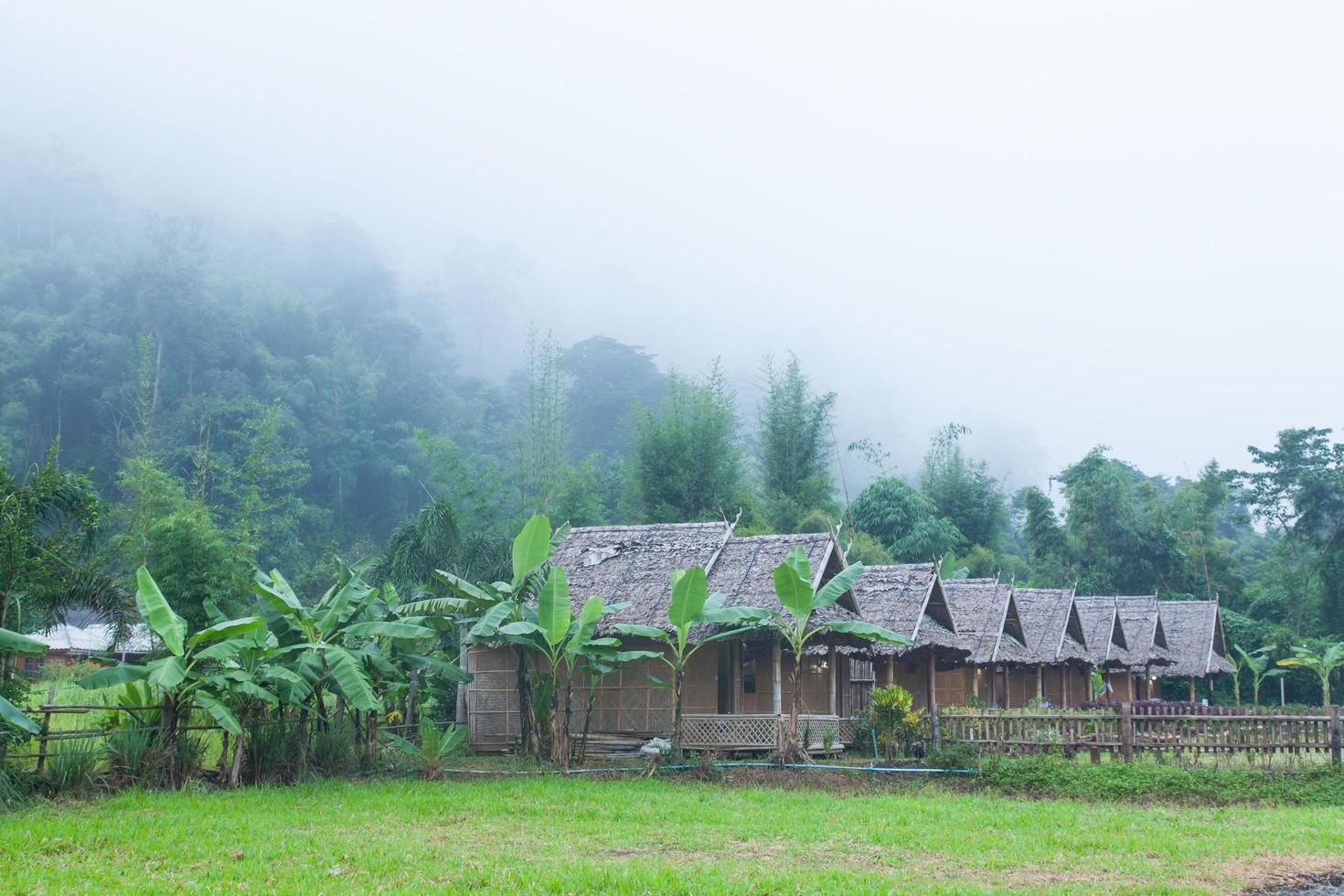 cabanas na floresta na tailândia foto