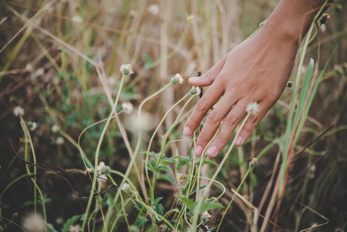 close-up da mão de uma mulher tocando a grama foto