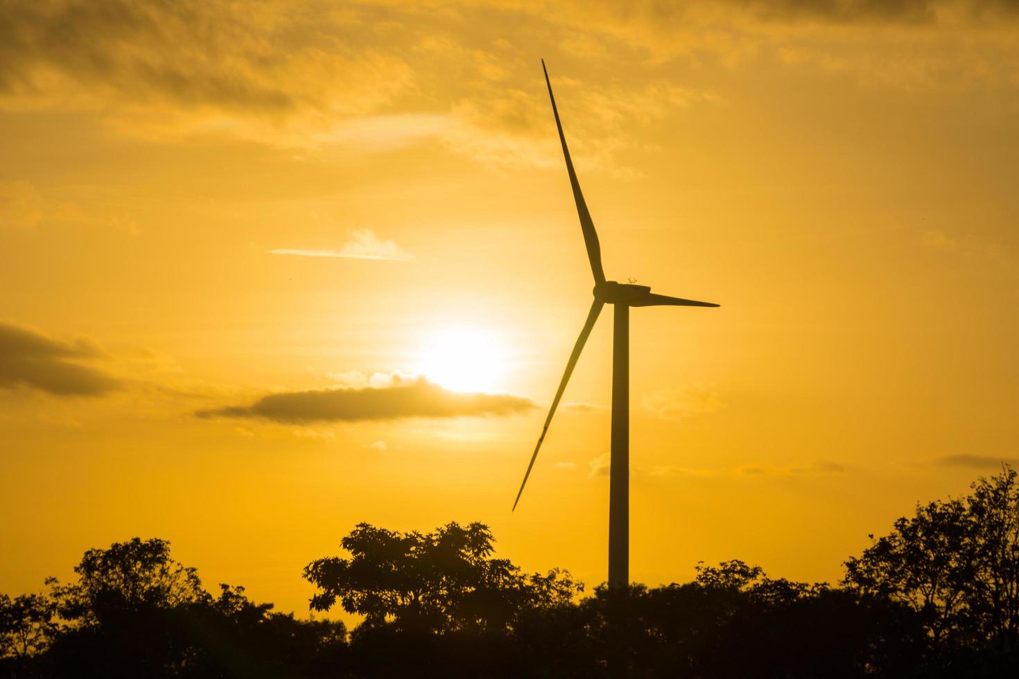 turbina eólica na tailândia foto