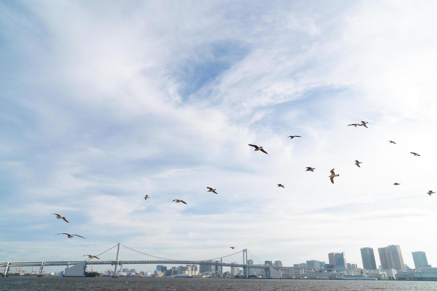 pássaros na ponte do arco-íris em Tóquio foto