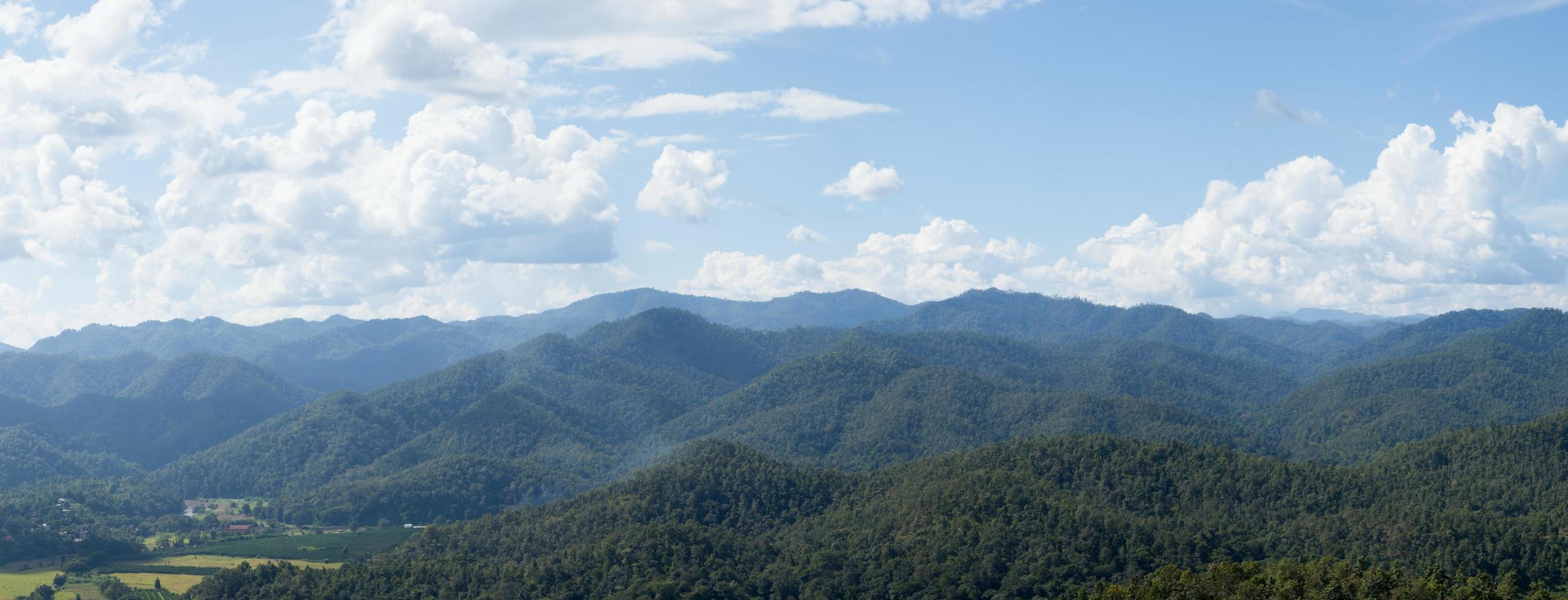 panorama da floresta na tailândia foto