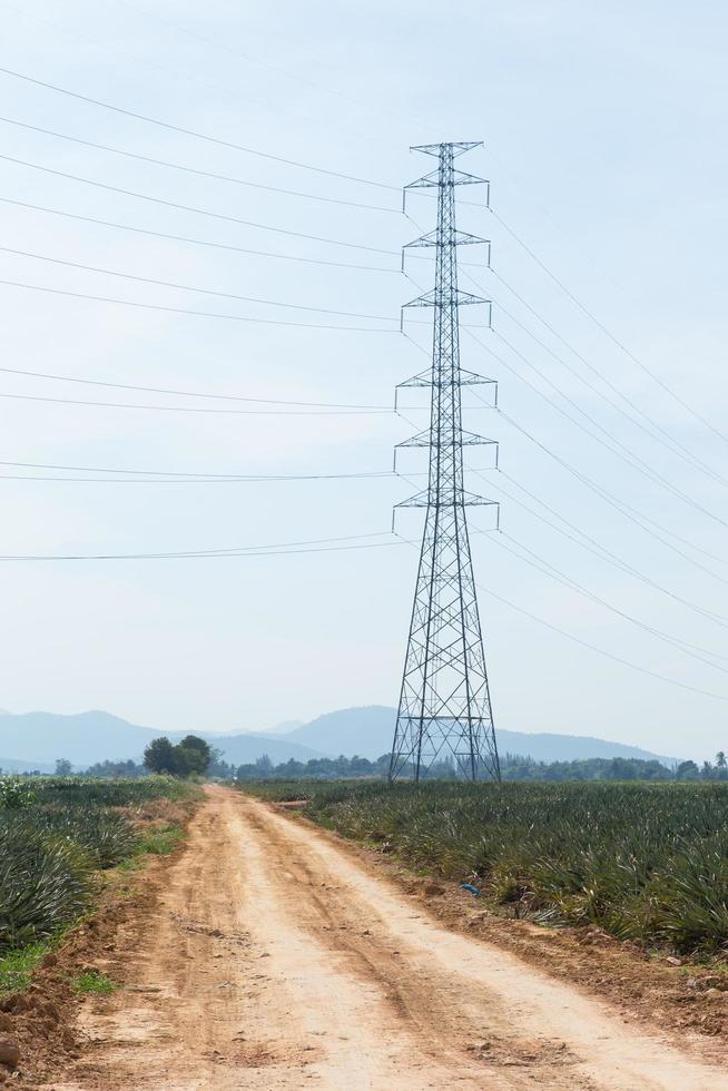 postes de alta tensão foto