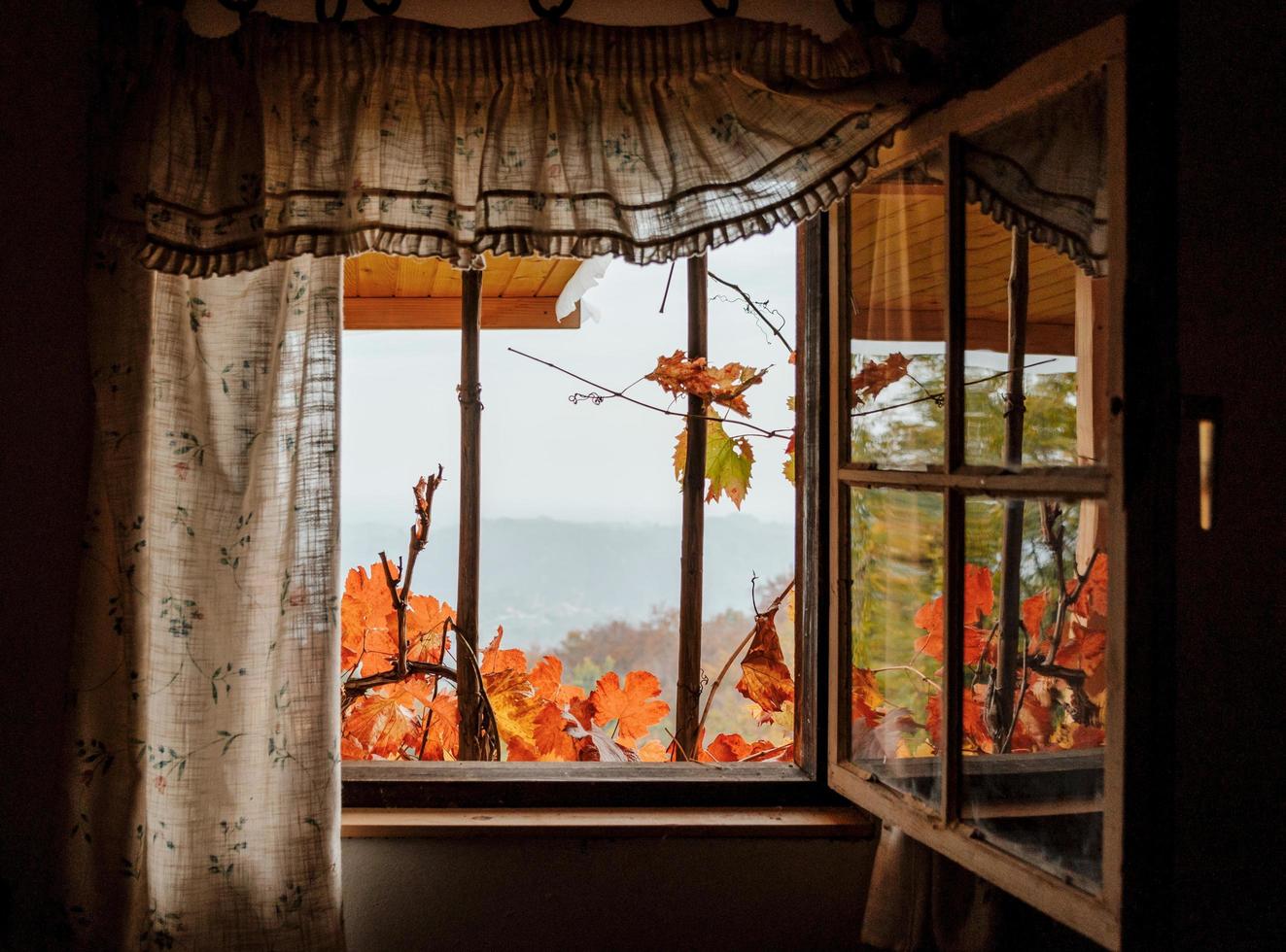 vista idílica pela janela de uma cabana no outono foto
