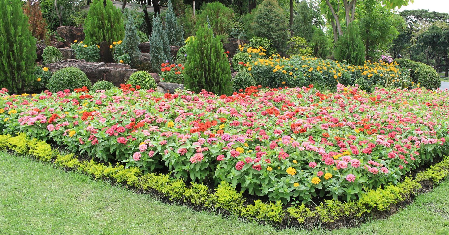 cama de flores vermelhas e rosa foto