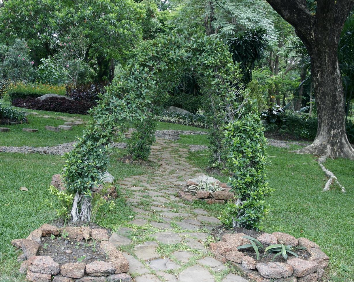 arco em um jardim foto