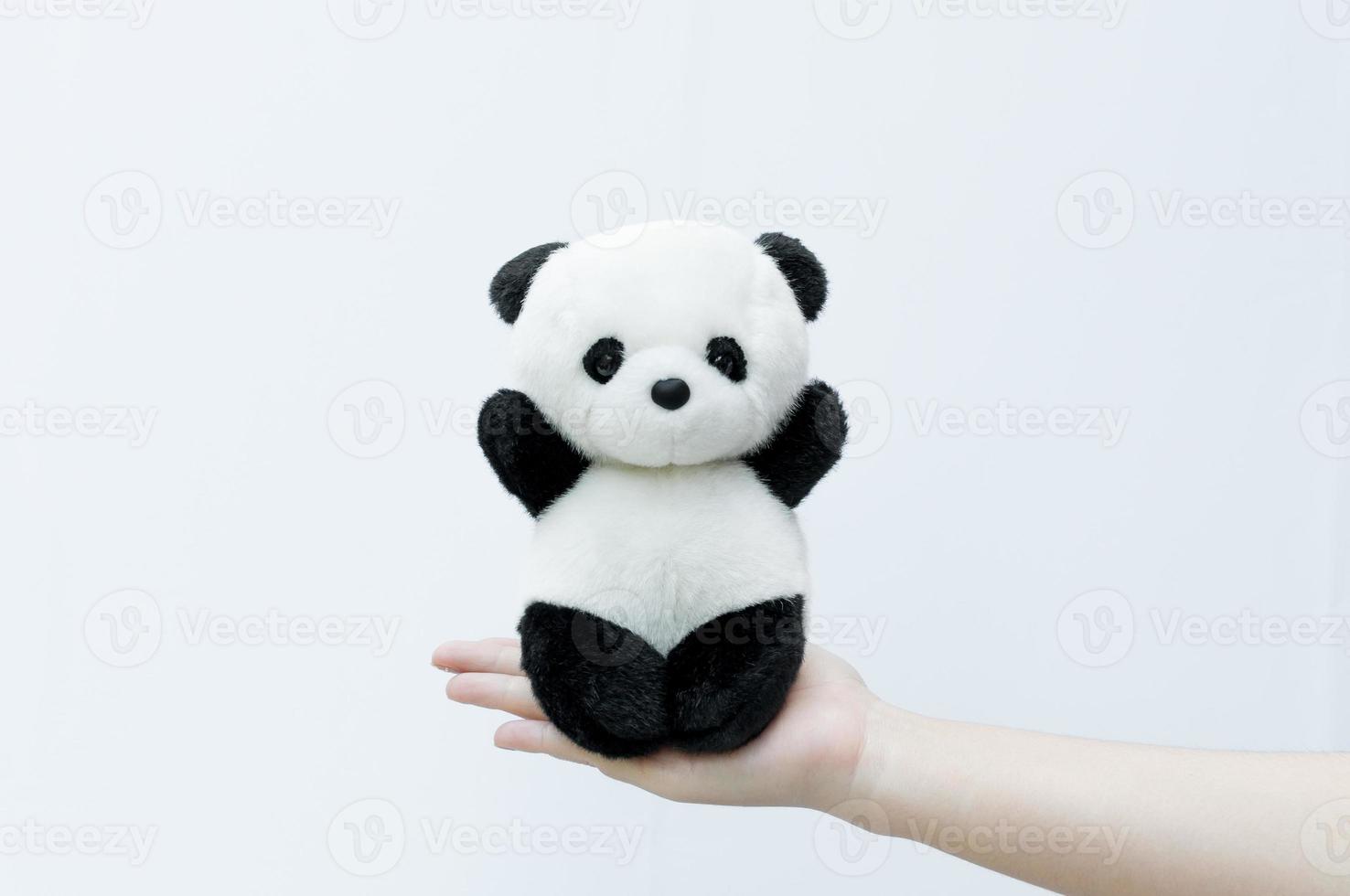 mão segurando a boneca panda, borda preta dos olhos, brinquedo panda no fundo branco foto