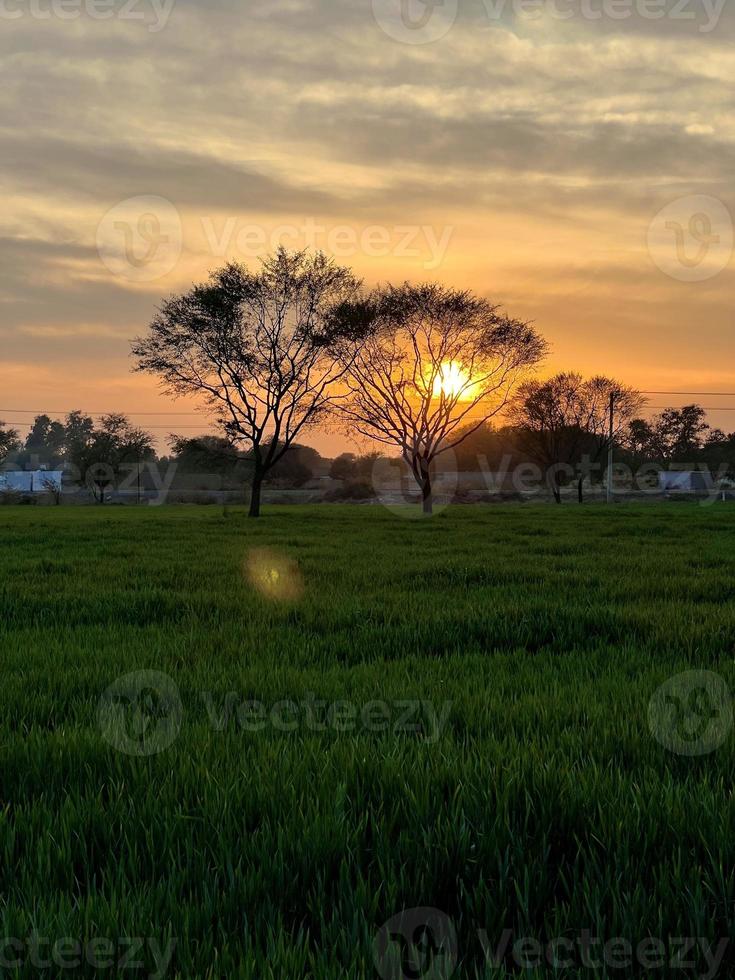 bela paisagem rural com lindo céu noturno gradiente ao pôr do sol. campo verde e aldeia foto